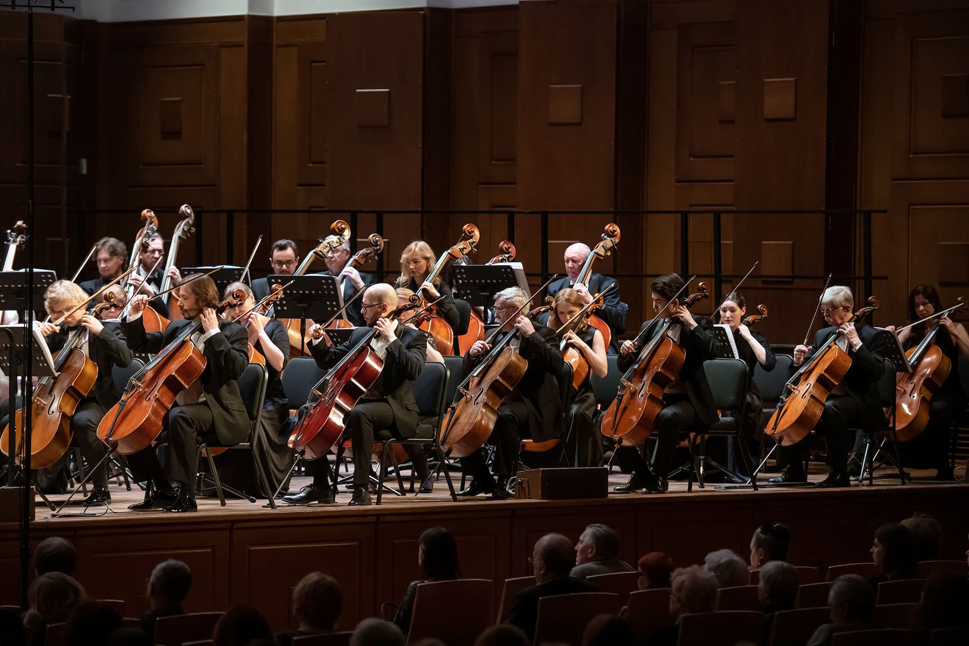 Струнный оркестр «Метаморфоза»